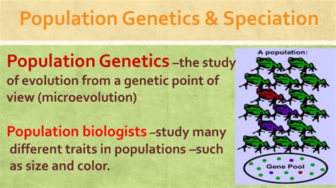  Population Genetics. -Investigate patterns of genetic variation within and among groups of interbreeding individuals. -Mendelian population is a group of interbreeding individuals who share a common set of genes. -A change in the genetic composition of a population or species over time. -Conservation biology, to understand what the genetic ... 